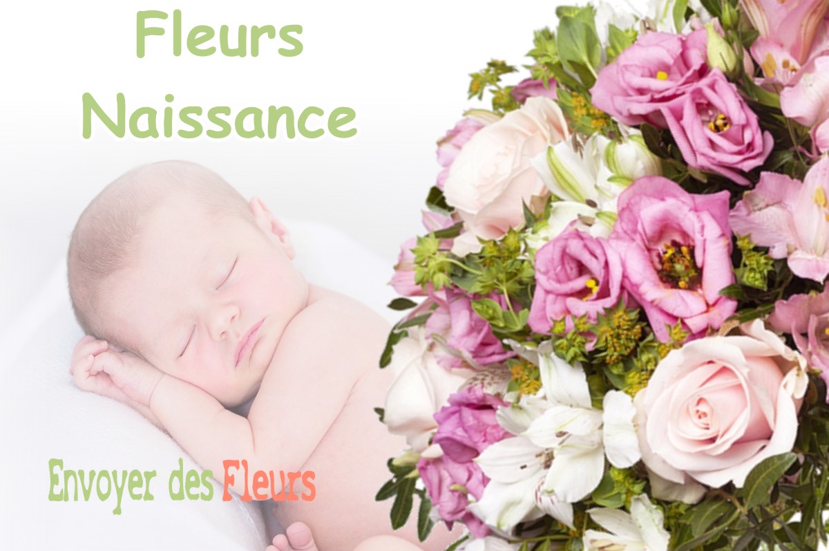 lIVRAISON FLEURS NAISSANCE à LA-MAGDELAINE-SUR-TARN